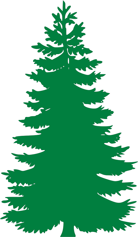 Vector Pine Tree Png .png Transparent PNG | Pngstation