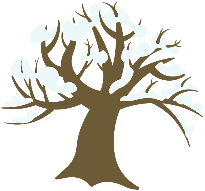 Winter Tree Transparent PNG | Pngstation
