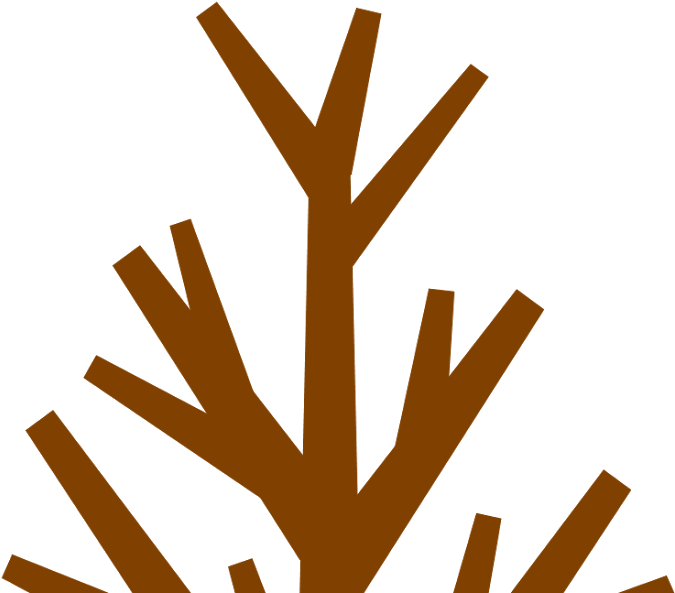 Brown Tree With No Leaves .png Transparent PNG | Pngstation
