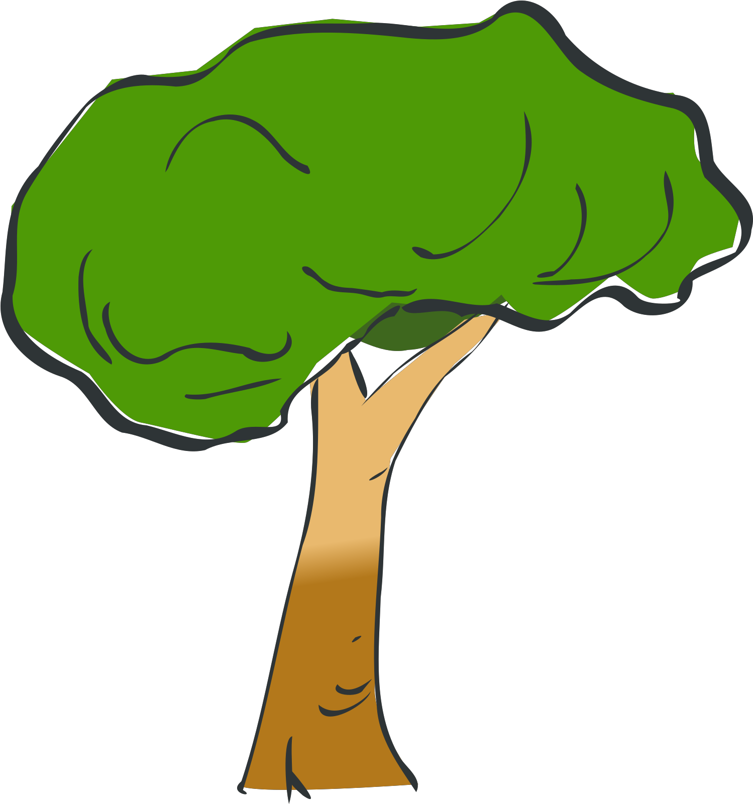 Coon Tree Transparent Background .png Transparent PNG | Pngstation