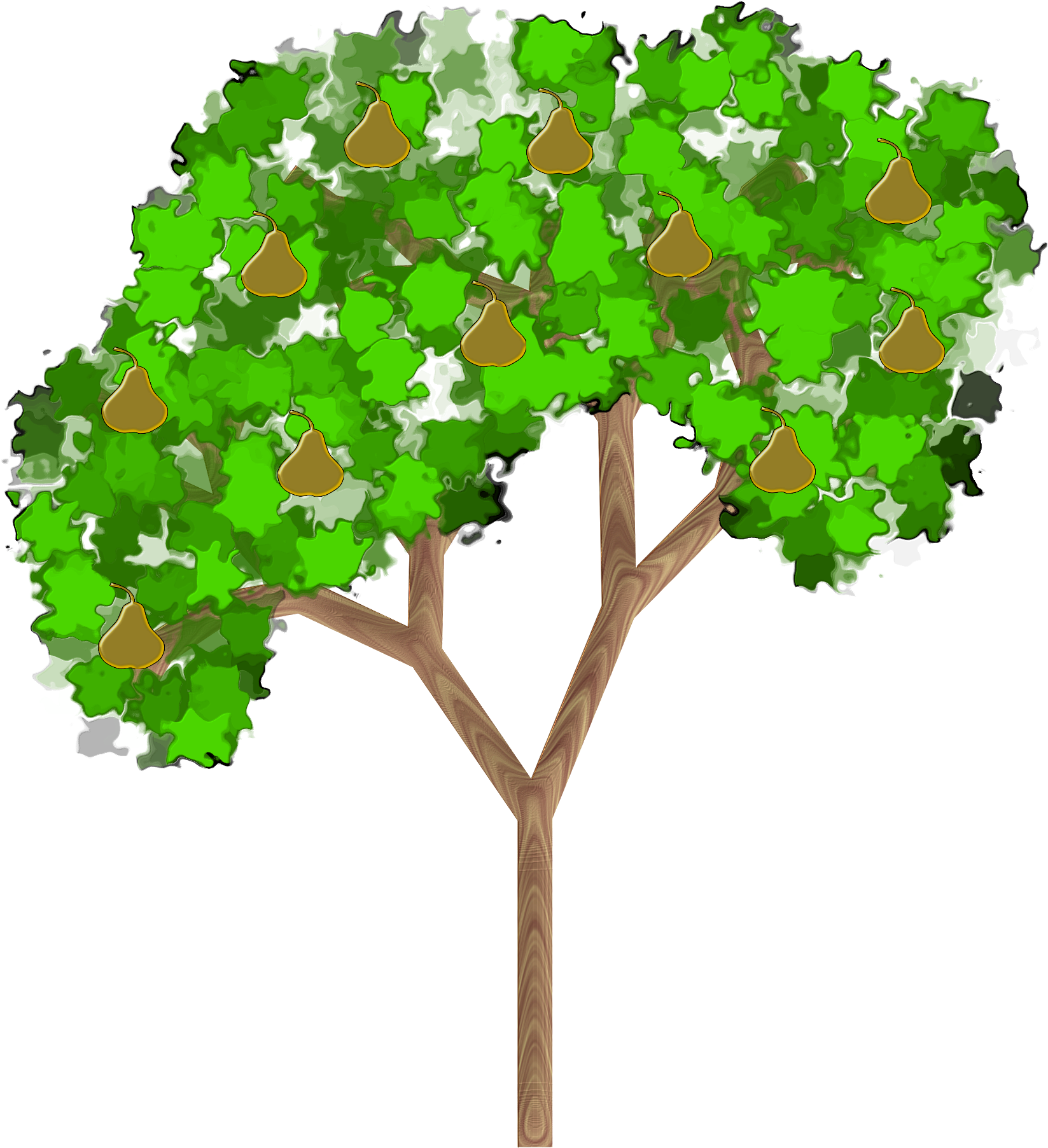 Collection Of Free Pear Drawing Amrood Download On Transparent PNG | Pngstation