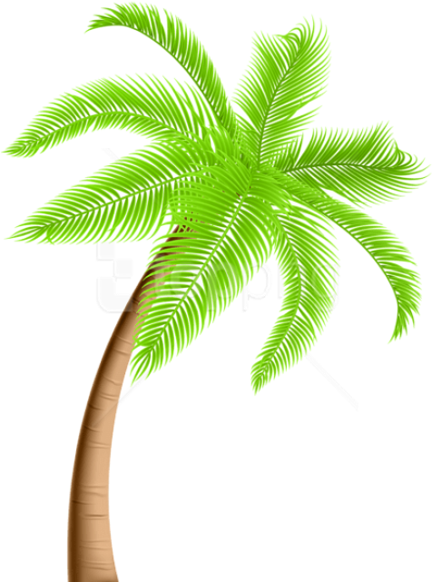 Download Palm Tree Png Png Images Background Transparent PNG | Pngstation