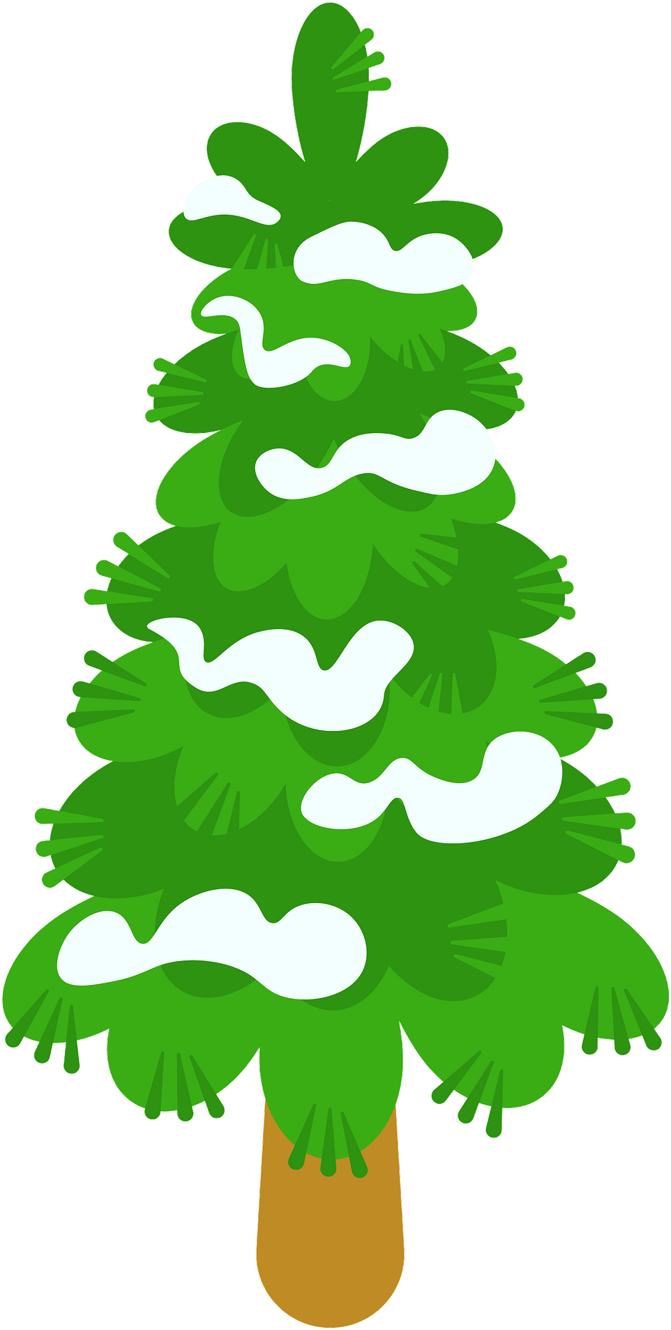 Evergreen Tree Transparent PNG | Pngstation